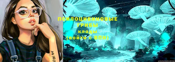 дурь Белокуриха