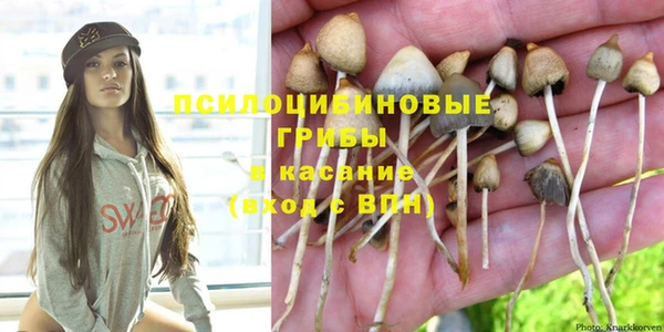 скорость Богданович