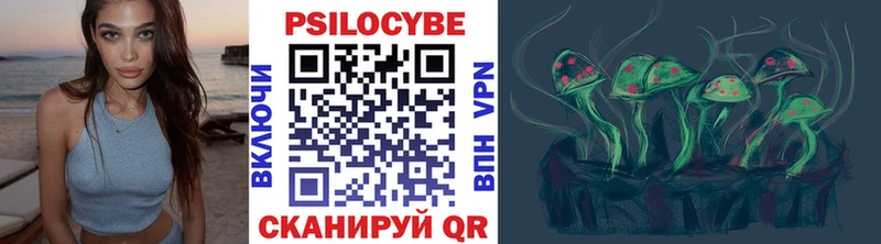 Псилоцибиновые грибы Psilocybine cubensis  hydra   Высоцк 
